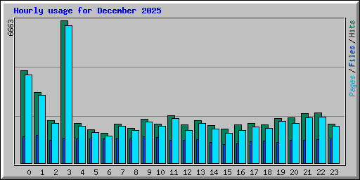 Hourly usage for December 2025