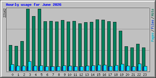 Hourly usage for June 2026