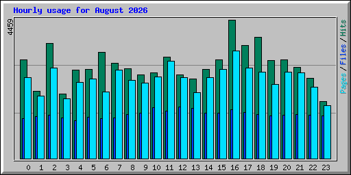 Hourly usage for August 2026
